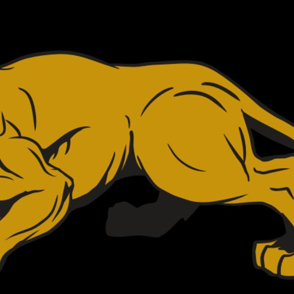 AR10 PAN COU 01 RQC Thumbnail