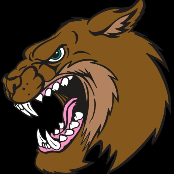 AR5 BOBCAT 18 RQC Thumbnail