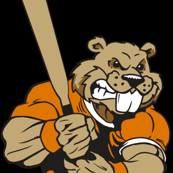 AR4 BEAVER 04 RQC Thumbnail