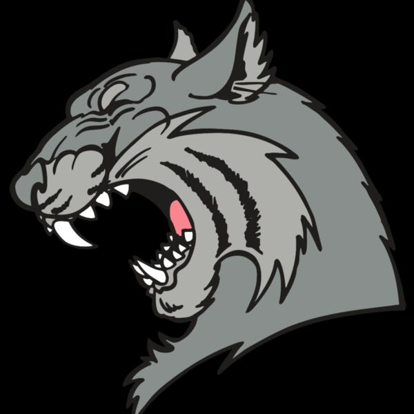 AR WILDCAT 41 RC Thumbnail