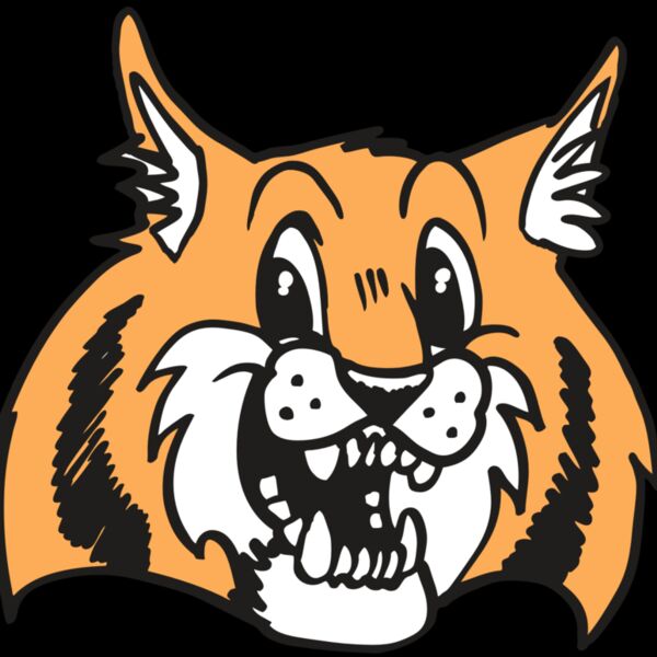 AR WILDCAT 13 RC Thumbnail