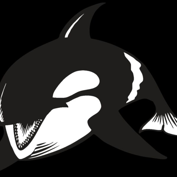 BAW KLRWHALE 04 RC Thumbnail