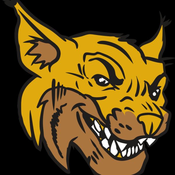 AR15 WILDCAT 01 RQC Thumbnail