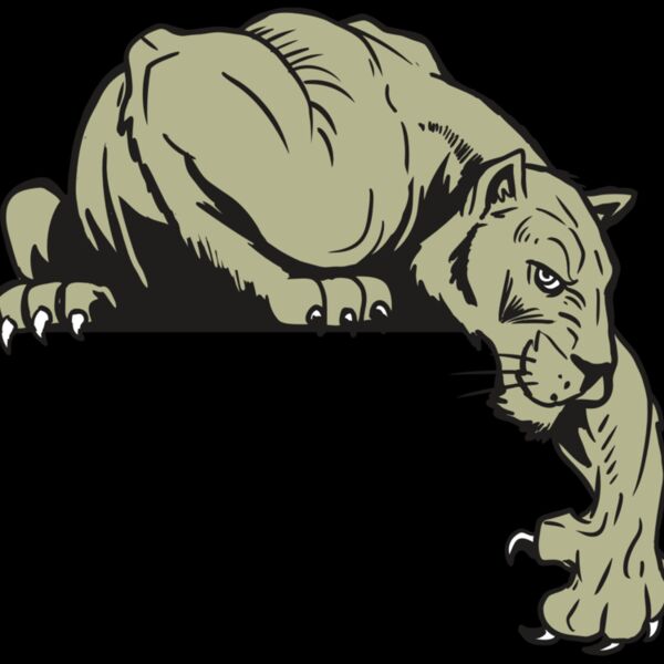 AR10 PANTHER 06 RQC Thumbnail