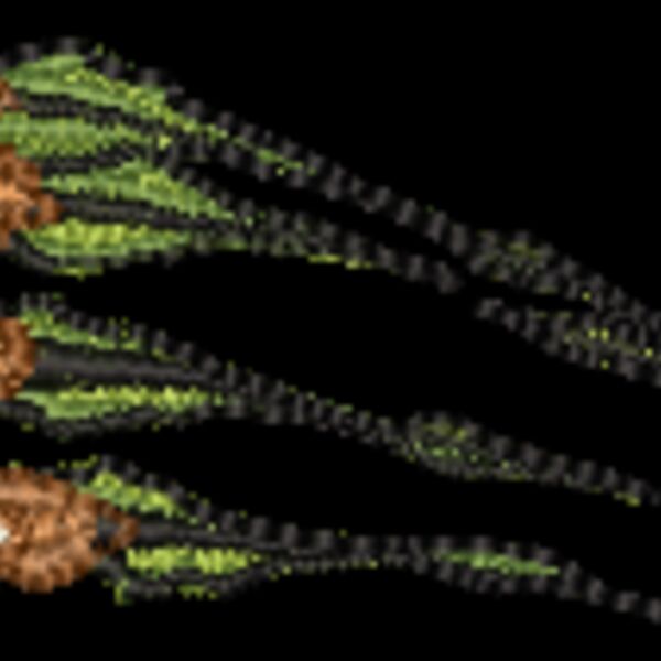 ms640 Thumbnail