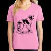Women's Core Cotton V Neck Tee Thumbnail