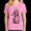 Women's Core Cotton V Neck Tee Thumbnail