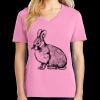 Women's Core Cotton V Neck Tee Thumbnail