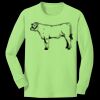 Youth Long Sleeve Core Cotton Tee Thumbnail