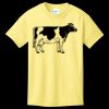 Youth Core Cotton Tee Thumbnail